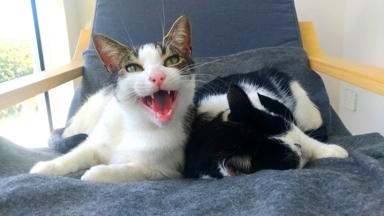 p 20190803 124113 vhdr auto 1