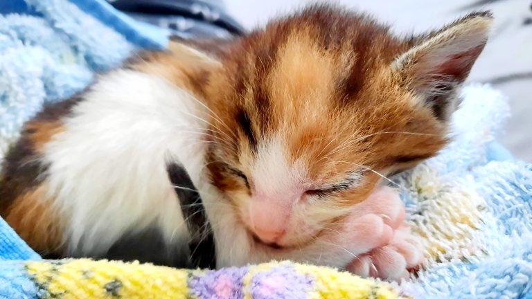 received 187179589598802