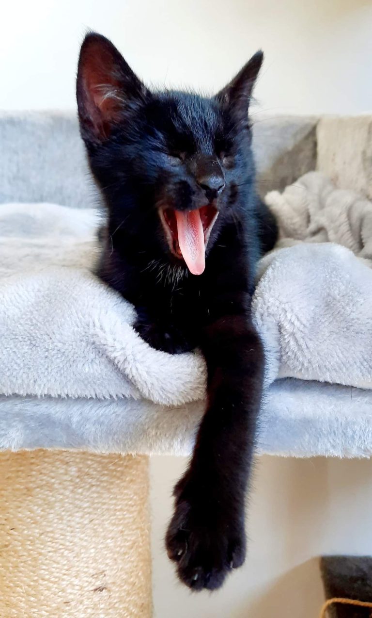 received 358120959706908